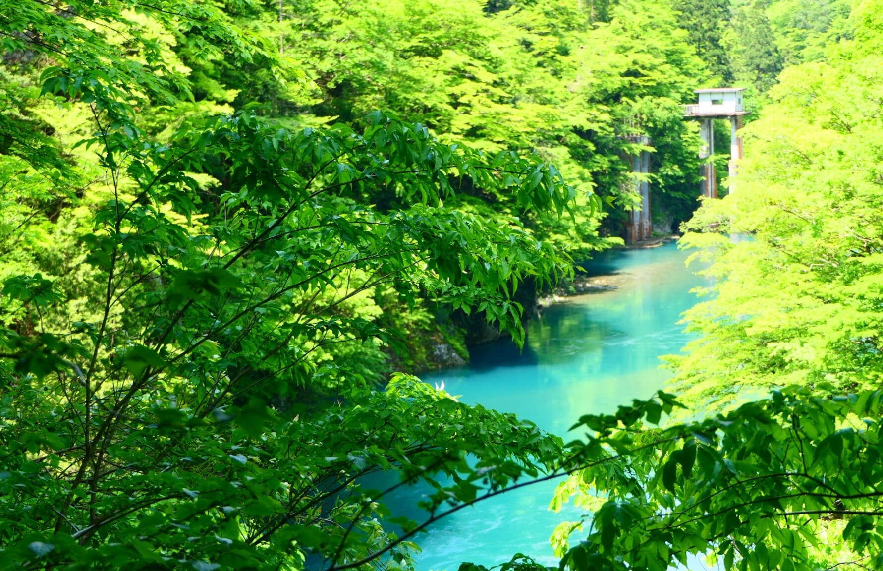 Dakigaeri Gorge 