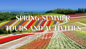 Best Hokkaido Tours and Activities in Spring/Summer