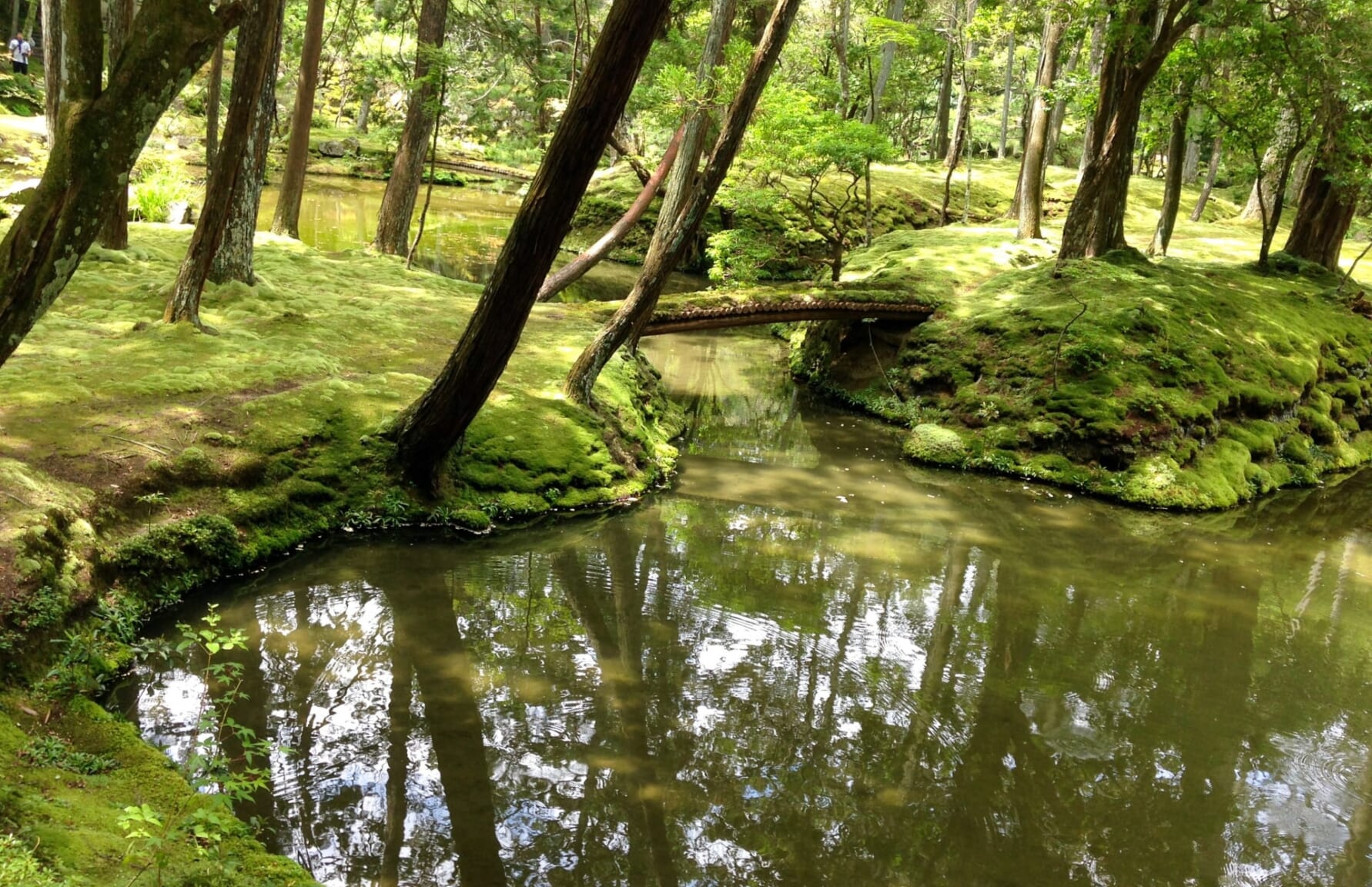 Saihoji Temple in Kyoto