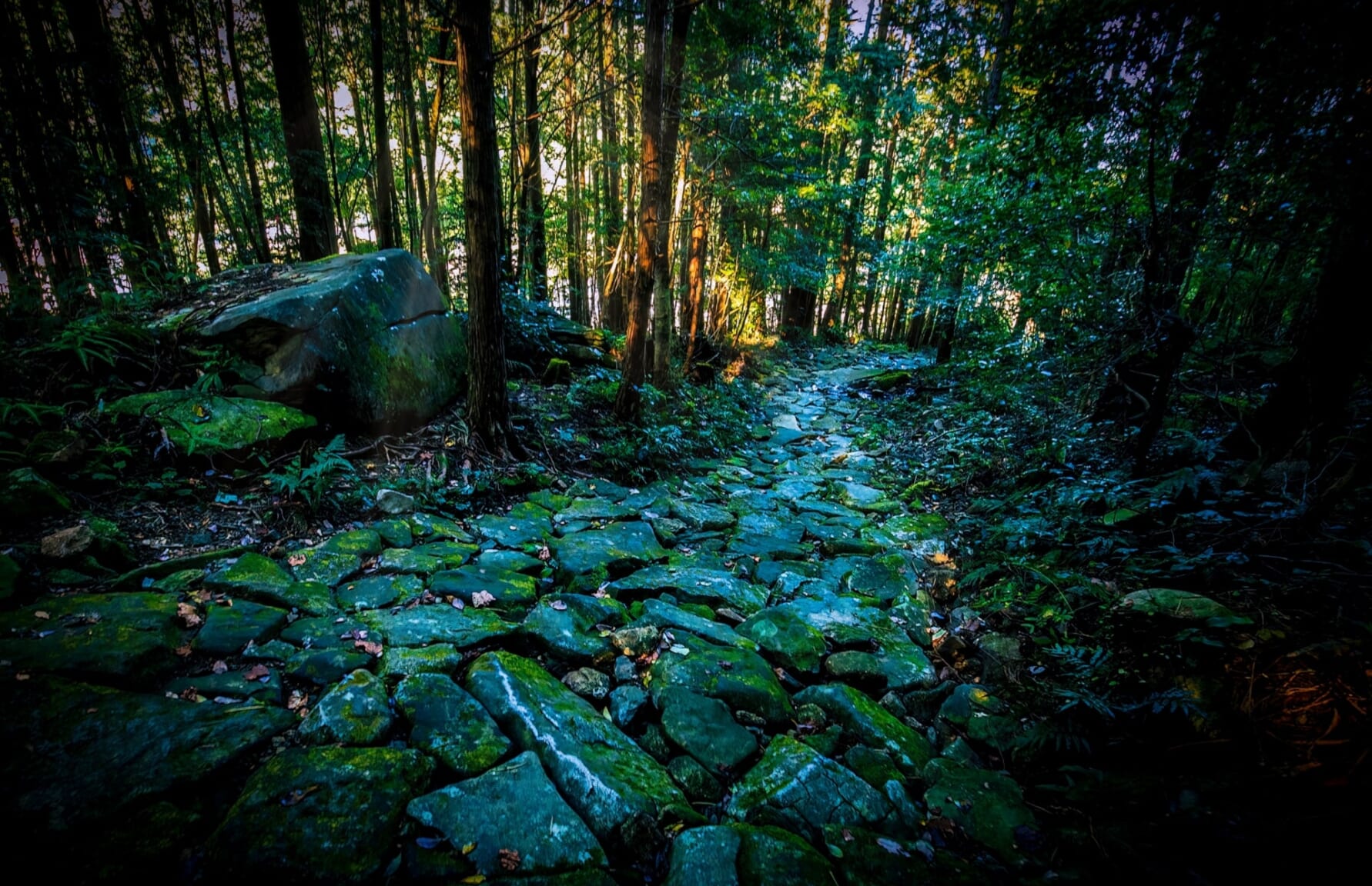 Kumanokodo Iseji pilgrimage route