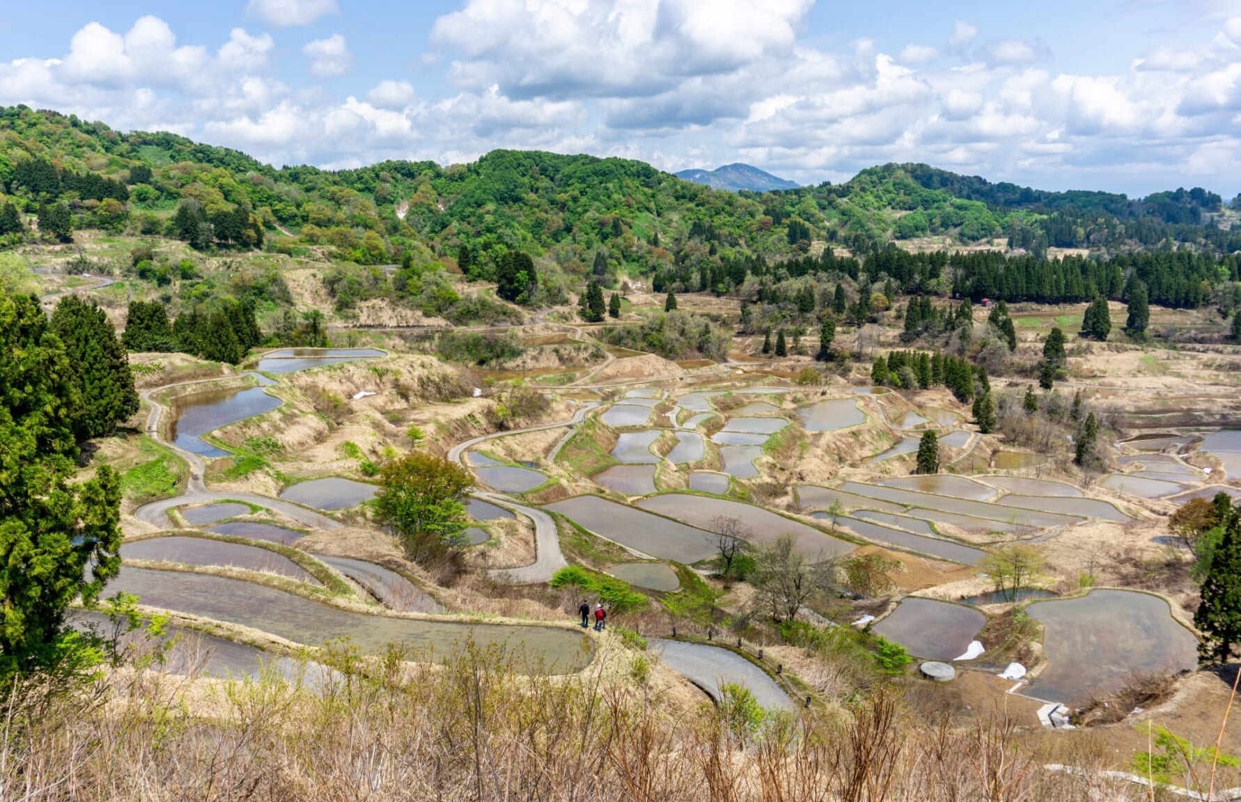 Hoshitoge Rice Terraces