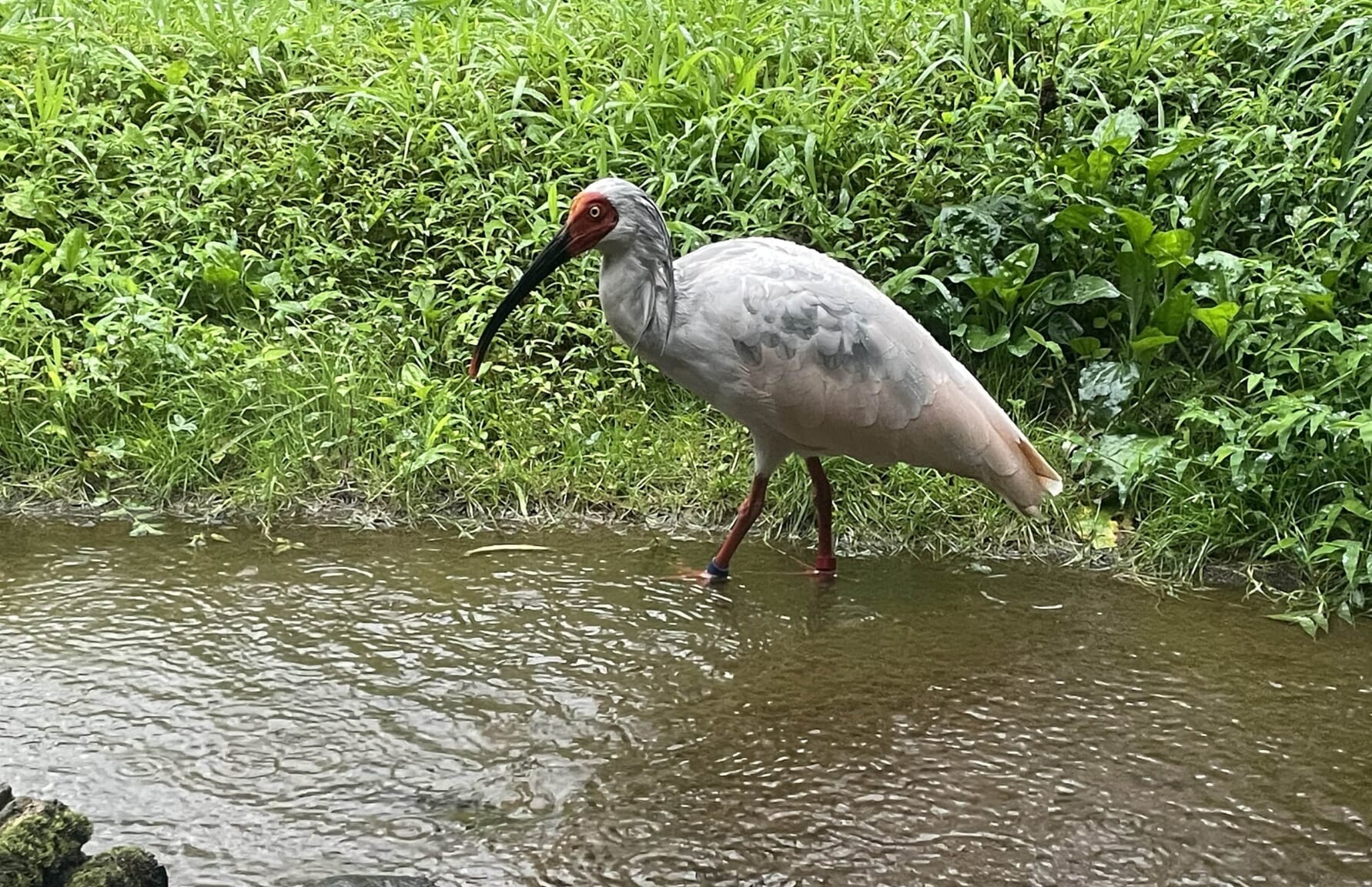 Toki Forest Park