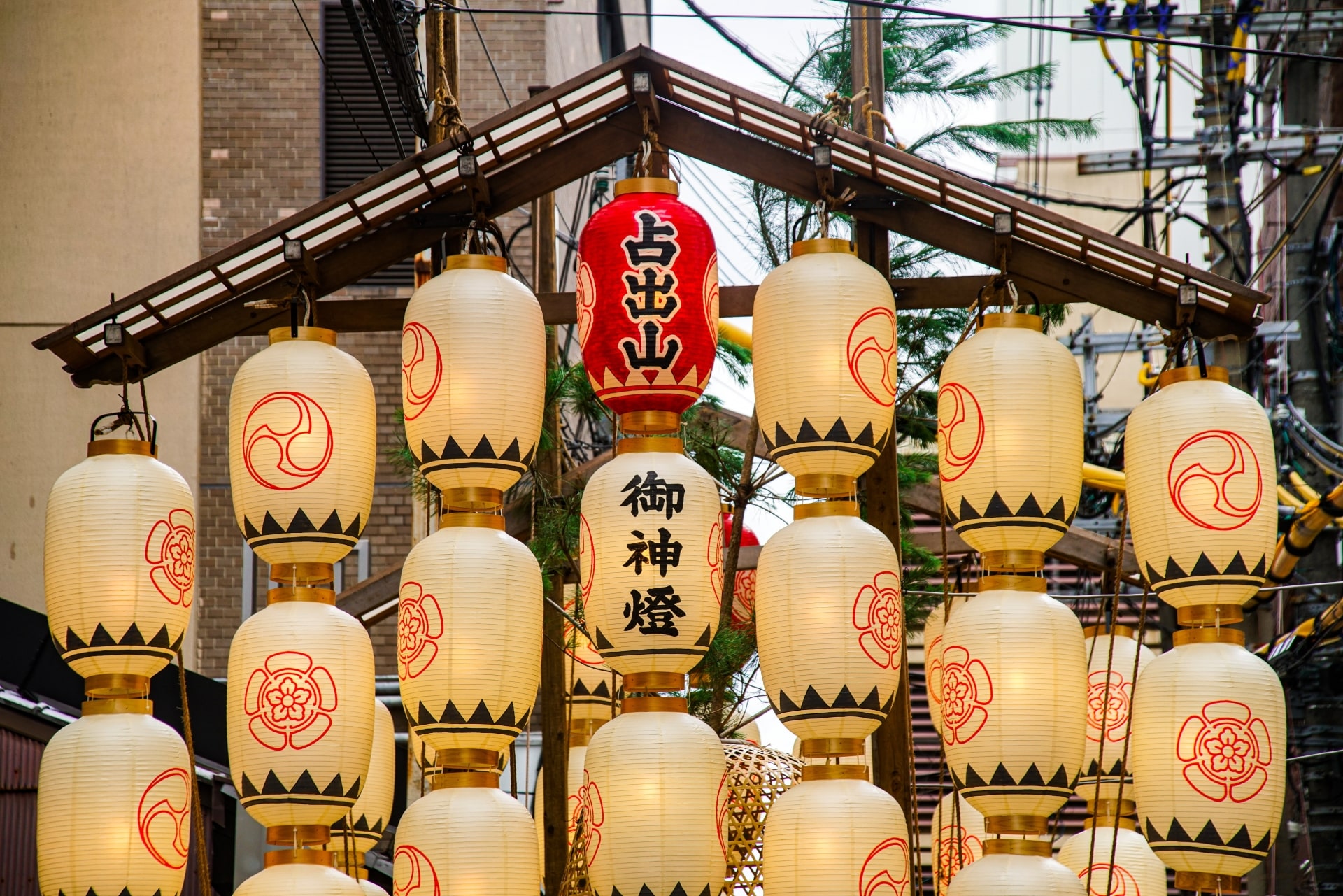 gion fes