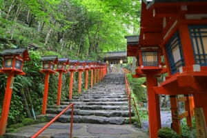 10 Best Things to Do in Kyoto in Summer