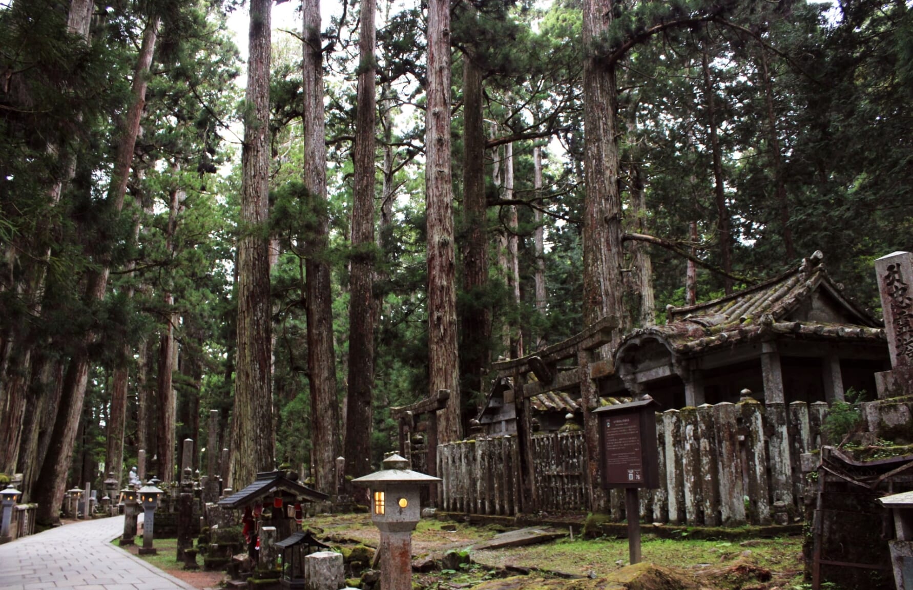 Koyasan Pilgrimage