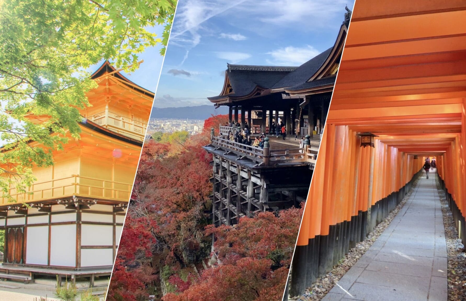 Kinkakuji, Kiyomizudera and Fushimi Inari Taisha