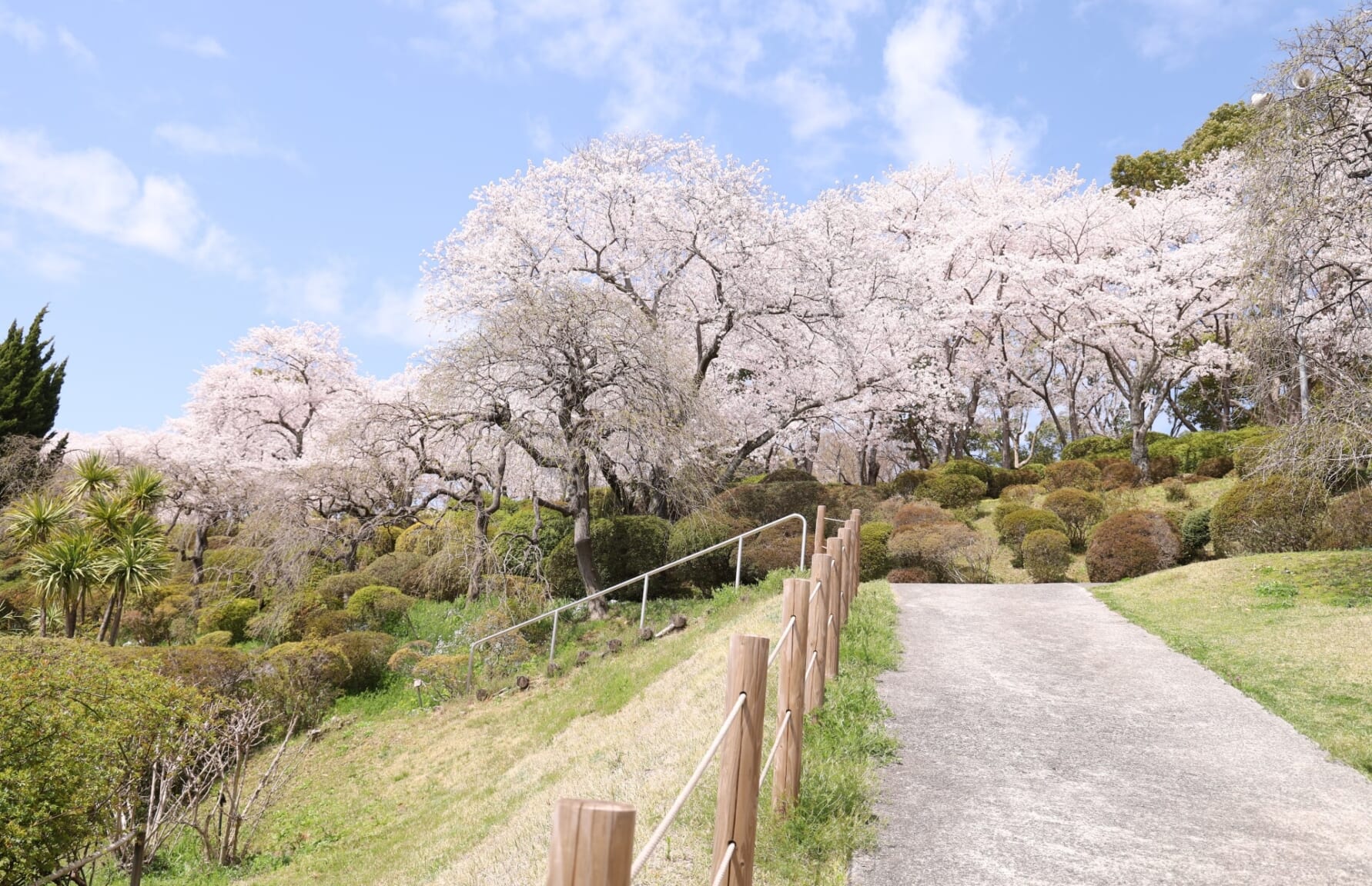 Handayama Botanical Garden