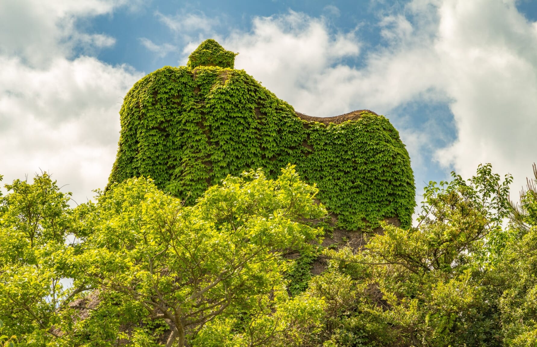 Inujima Island