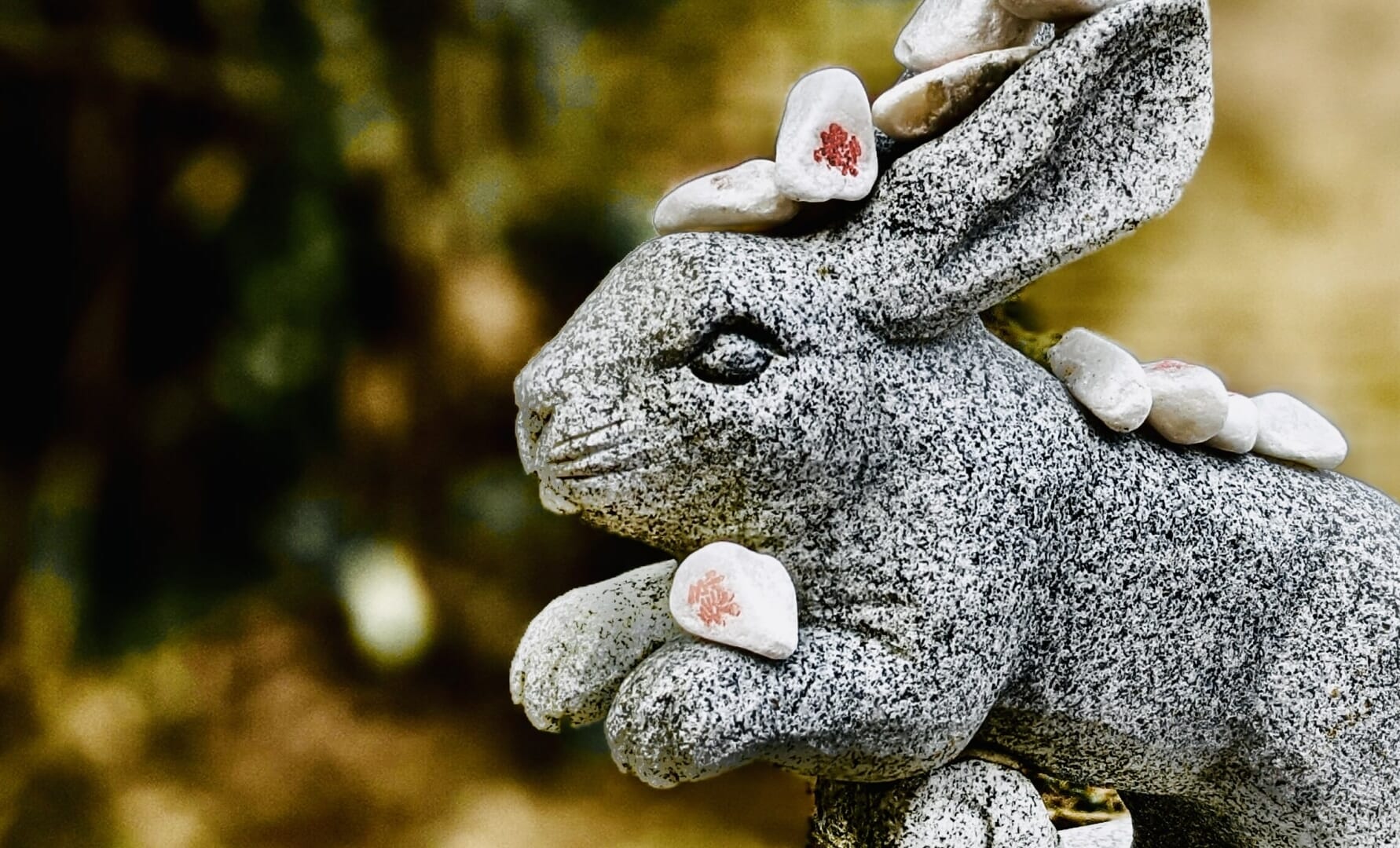 white rabbit at Hakuto Shrine