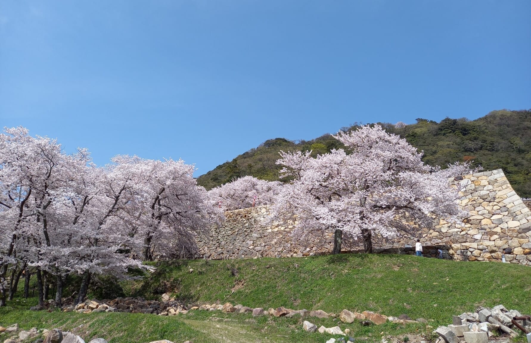 Tottori Castle Ruins and Hisamatsu Park