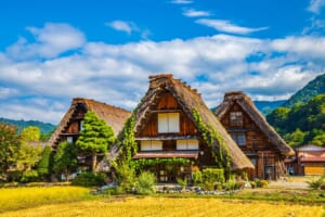 Best Tours and Activities in Central Japan