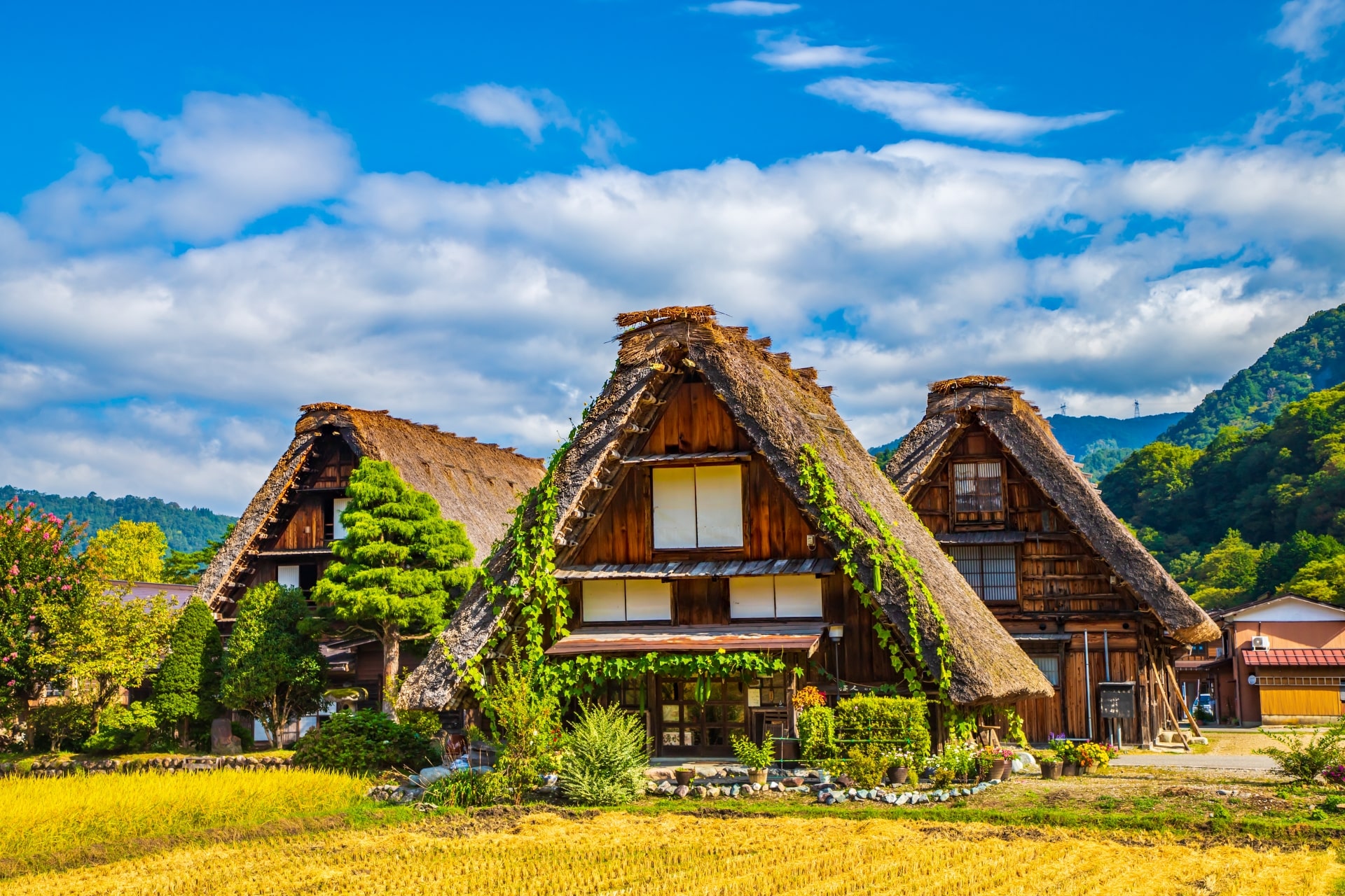 Best Tours and Activities in Central Japan