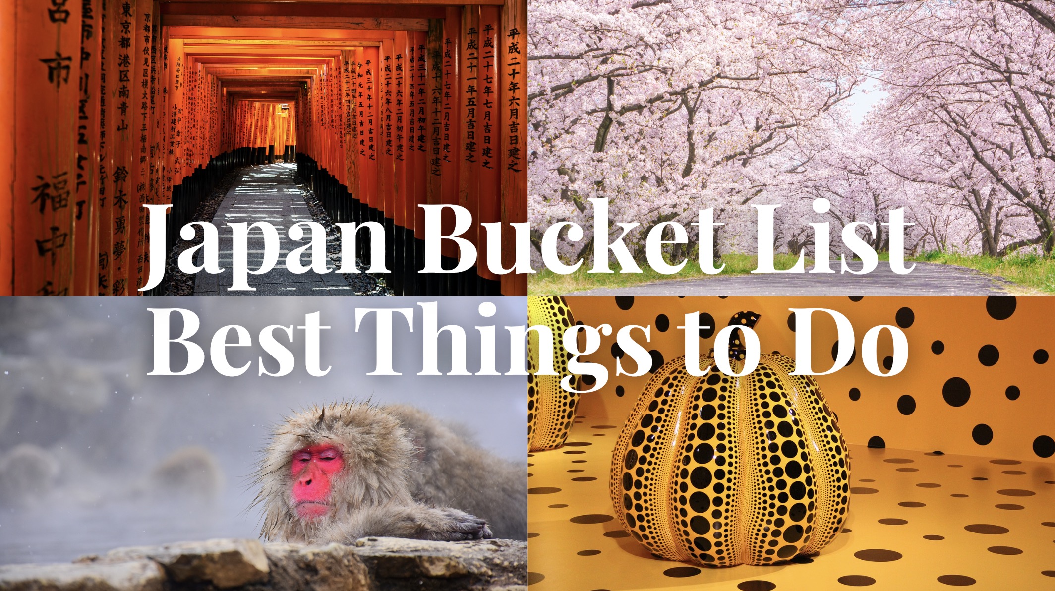 30 Best Things to Do in Japan (2024)