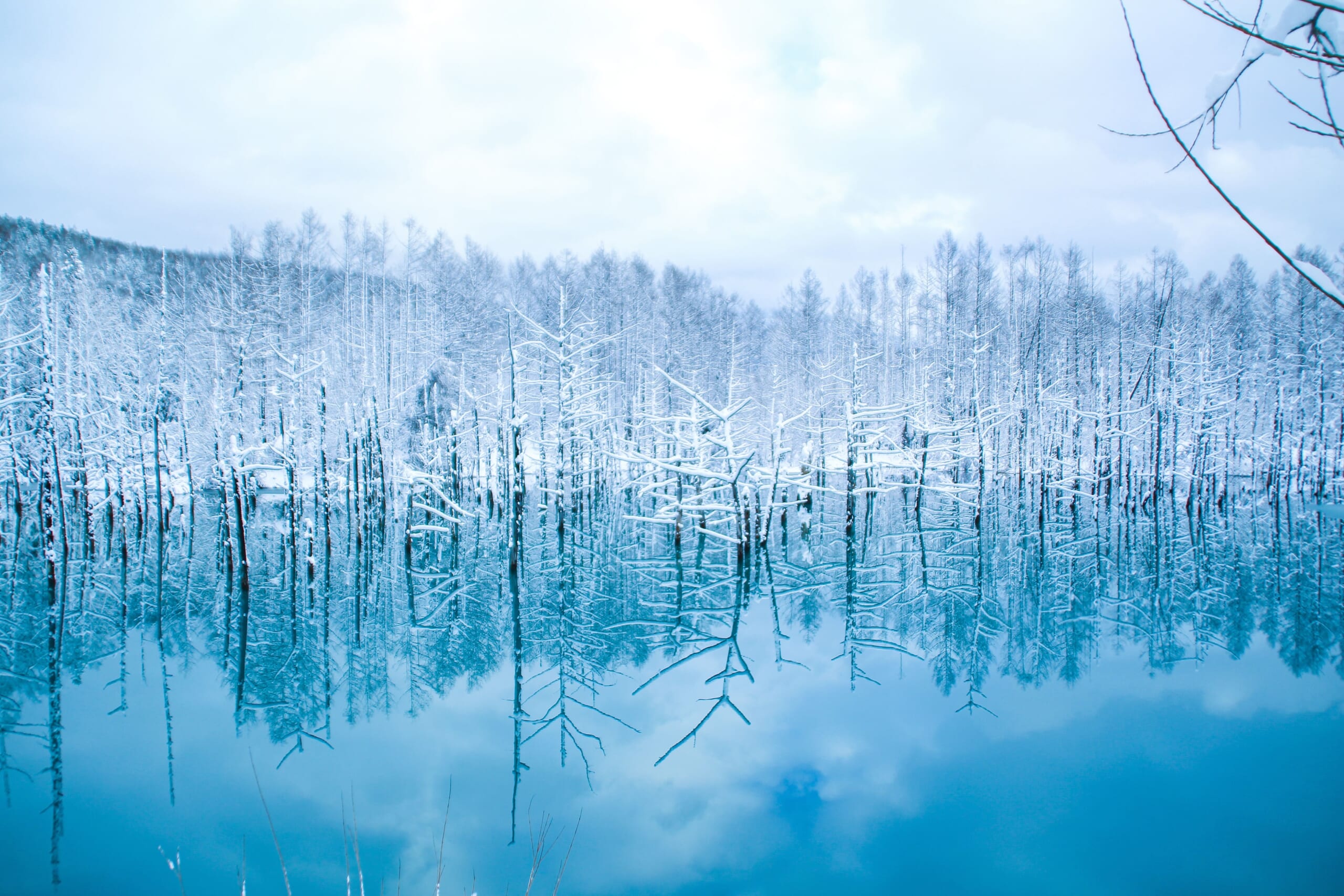 Hokkaido Blue Pond