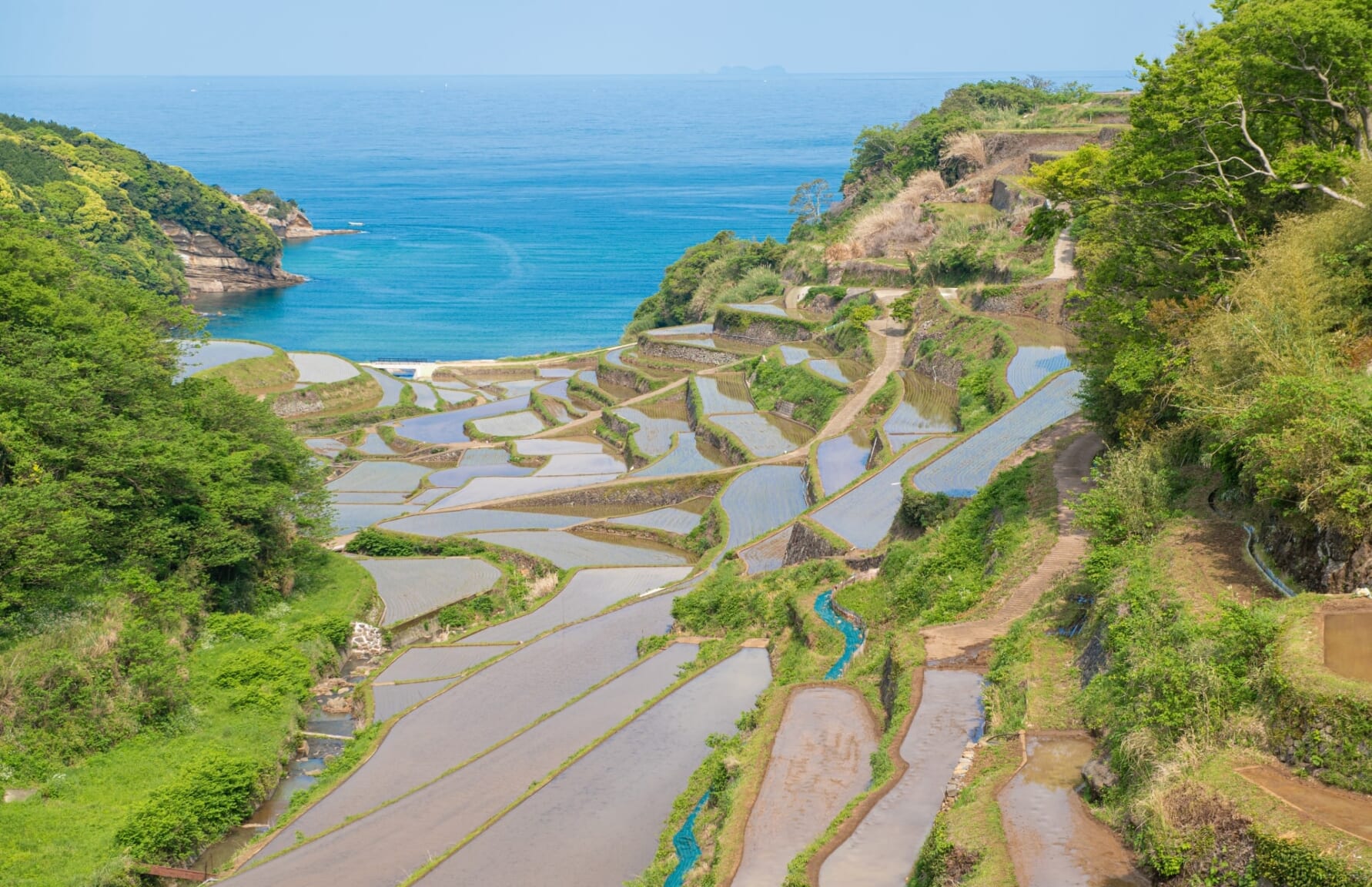 Hamanoura Rice Terraces