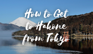 How to Get to Hakone from Tokyo