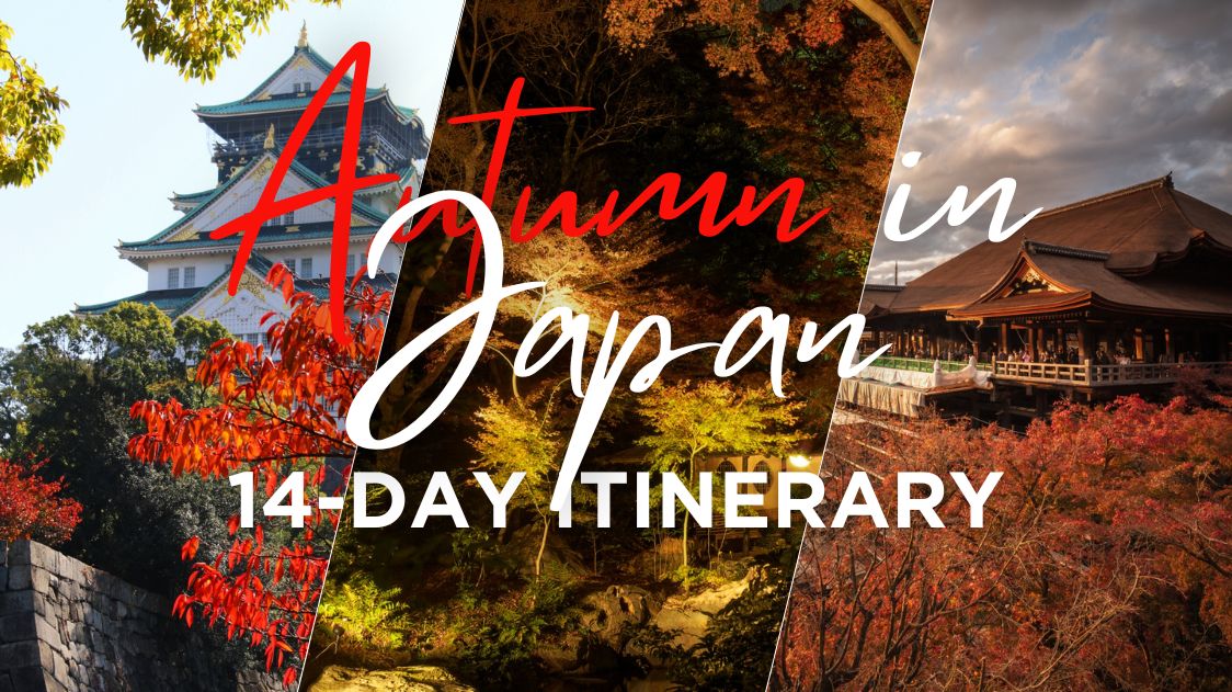 30 Days of Autumn - 14 Day Round Up 🍁