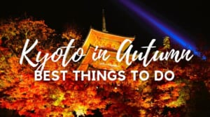 10 Best Things to Do in Kyoto in Autumn