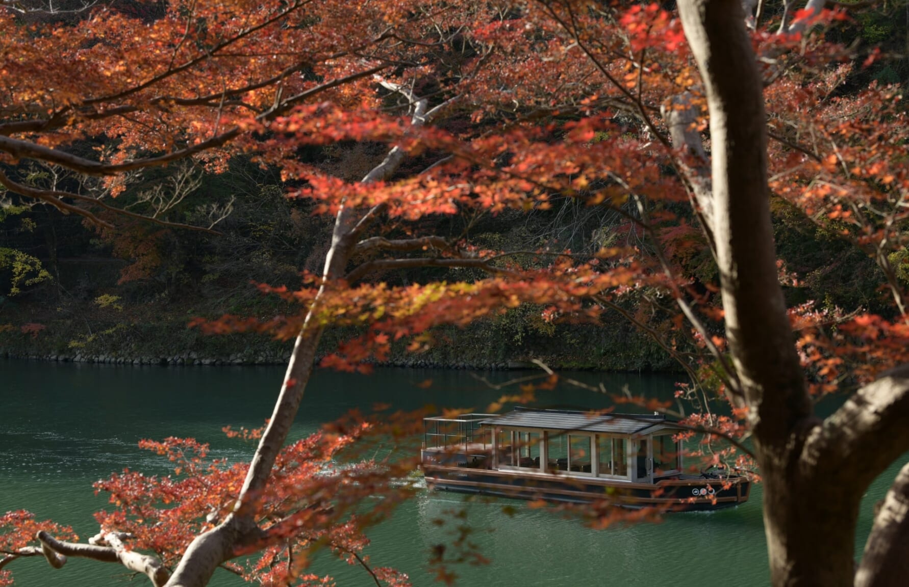 Hozugawa River Cruise