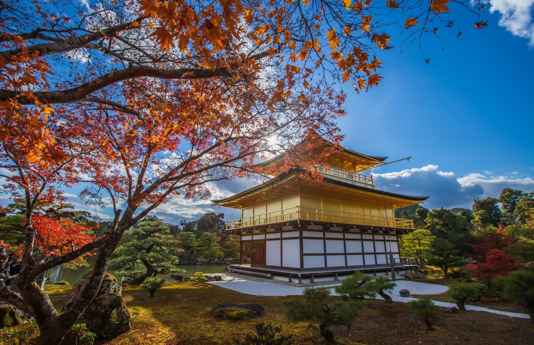 Kinkakuji in autumn