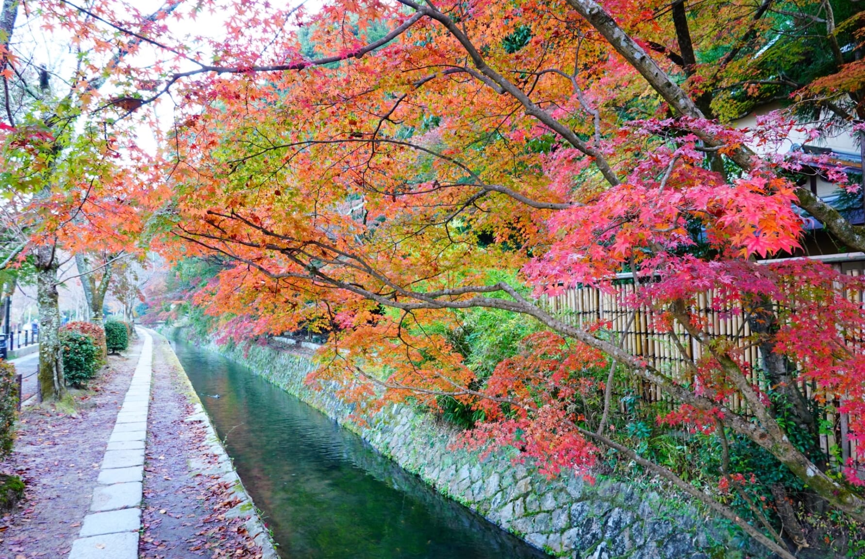 Philosopher's Path in autumn