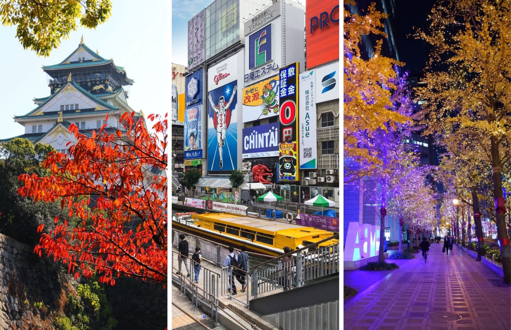 Osaka Castle, Dotonbori, and Midosuji Boulevard