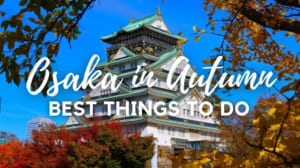 10 Best Things to Do in Osaka in Autumn