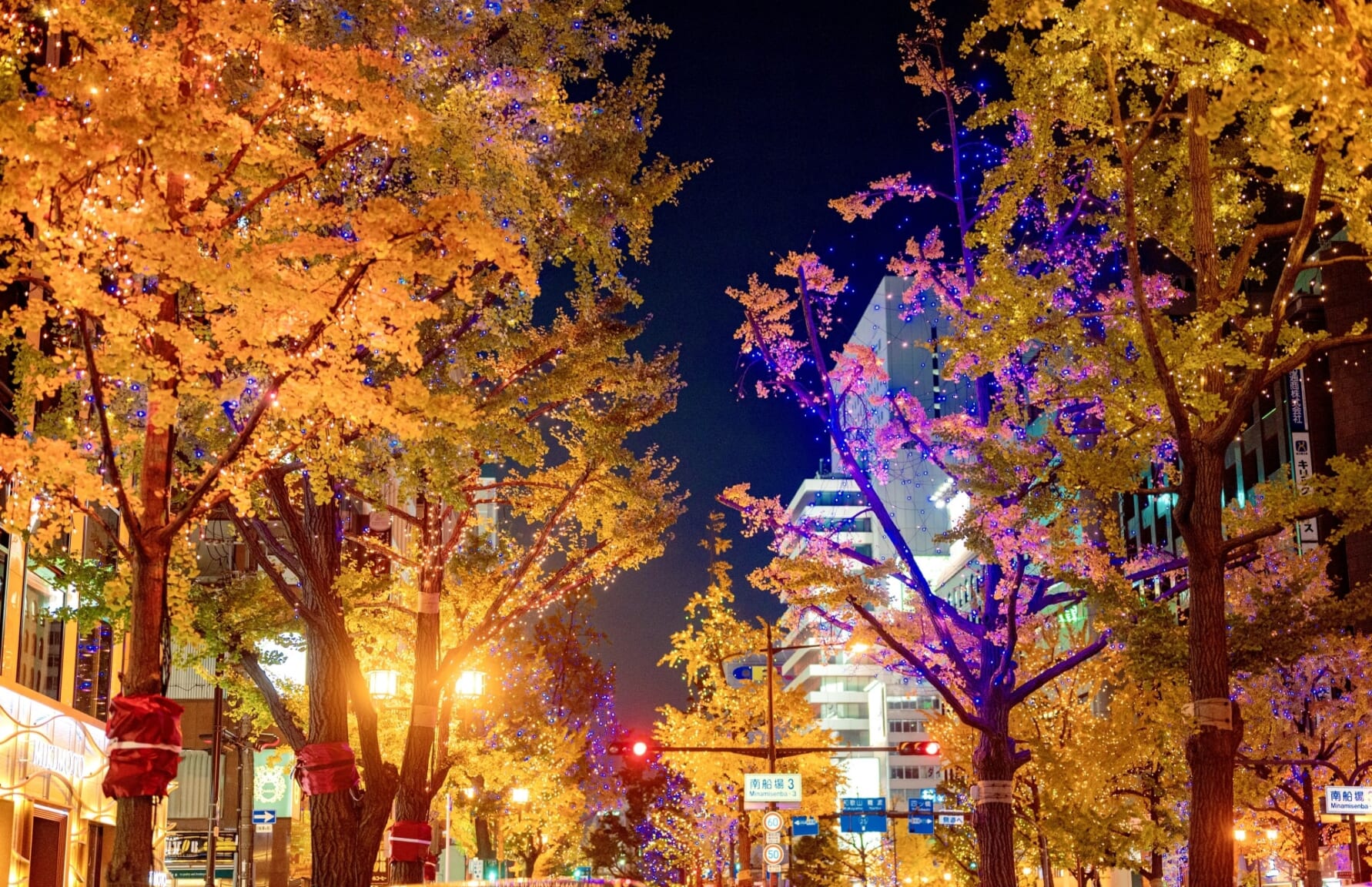 Midosuji Boulevard in Autumn