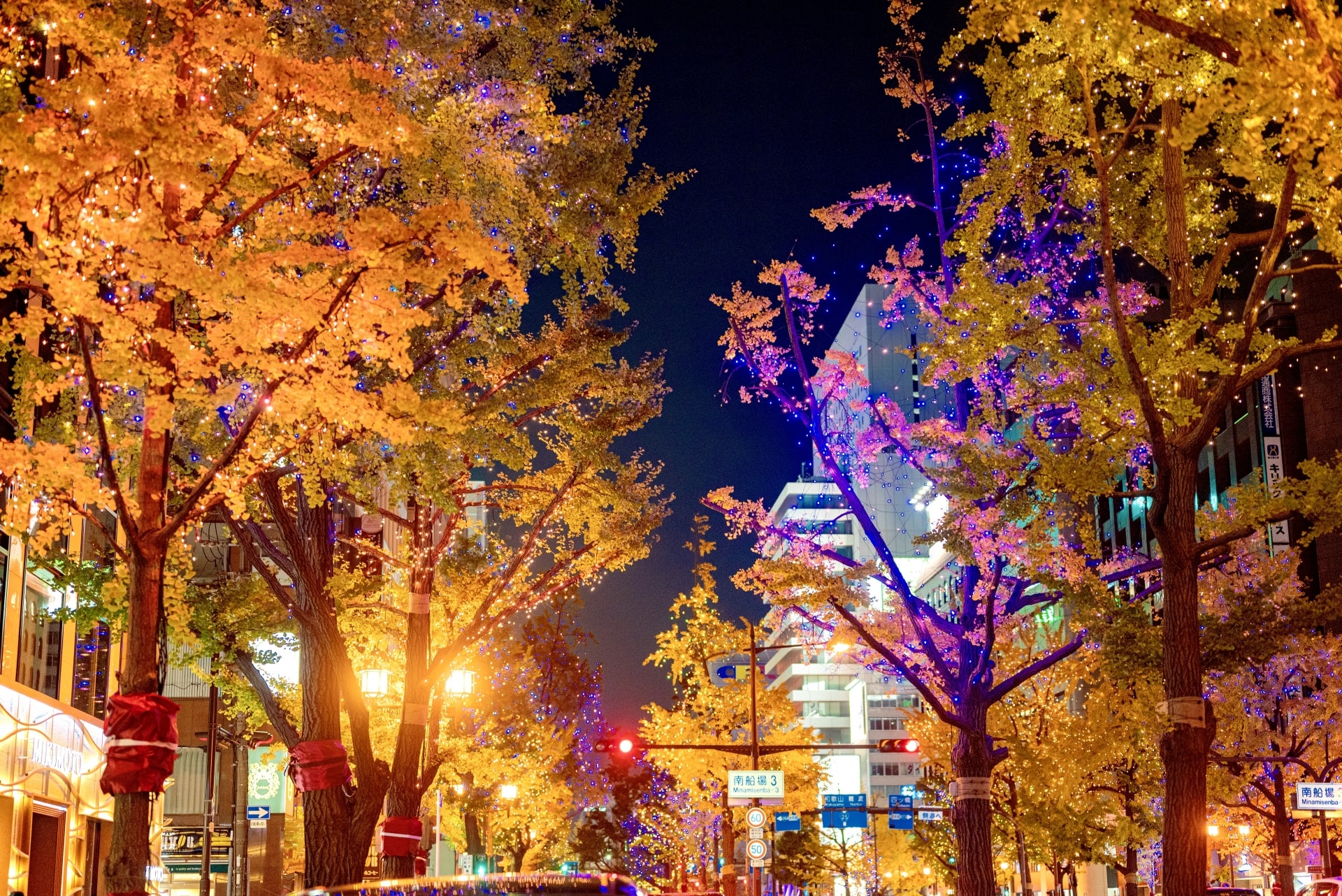 Autumn leaves in Midosuji in Osaka