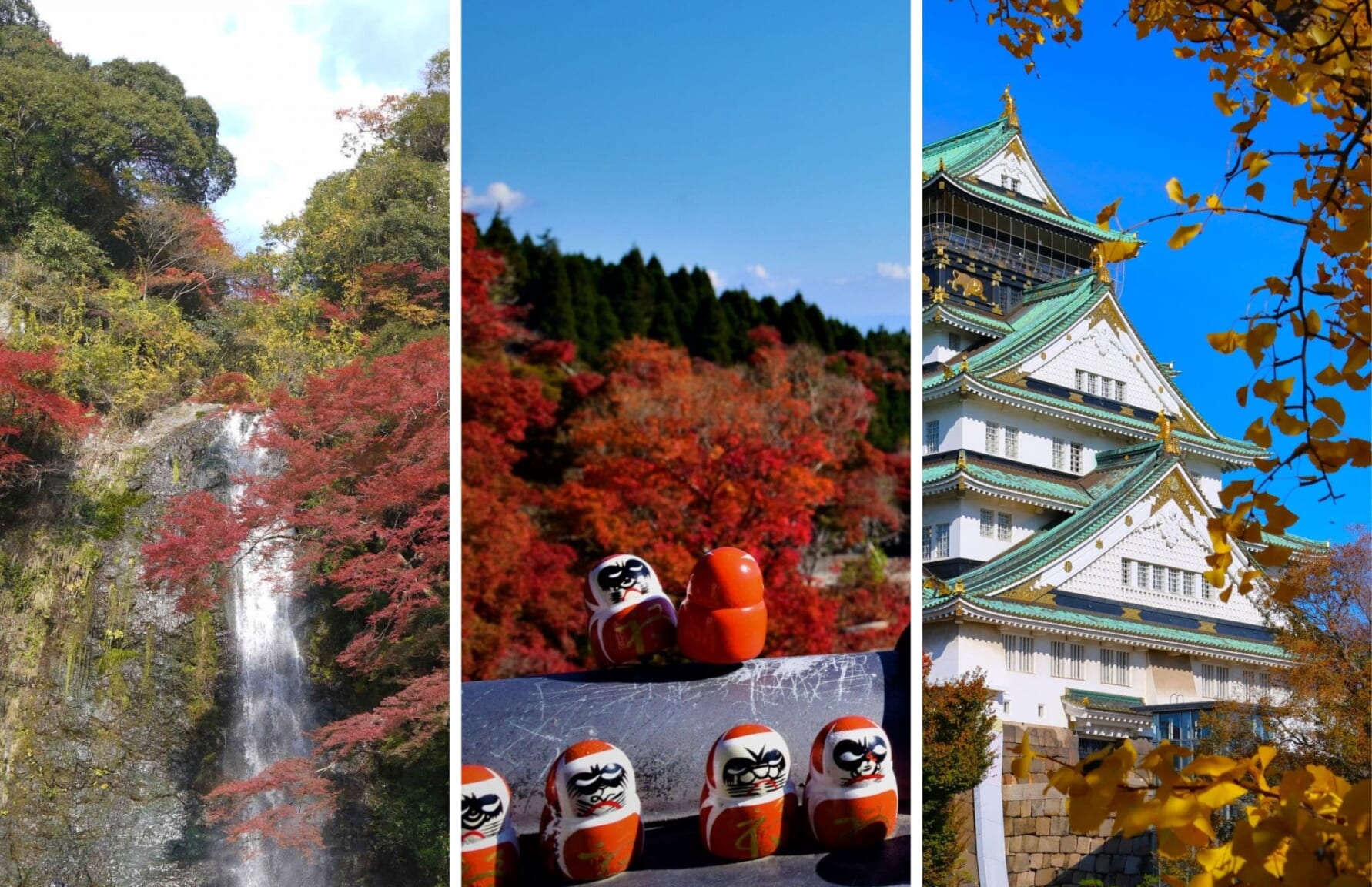 Minoo Park (箕面公園), Katsuoji Temple (勝尾寺), or Osaka Castle (大阪城)