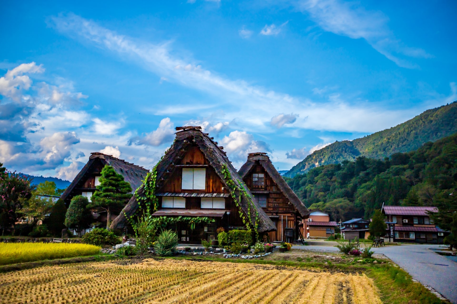 Shirakawago