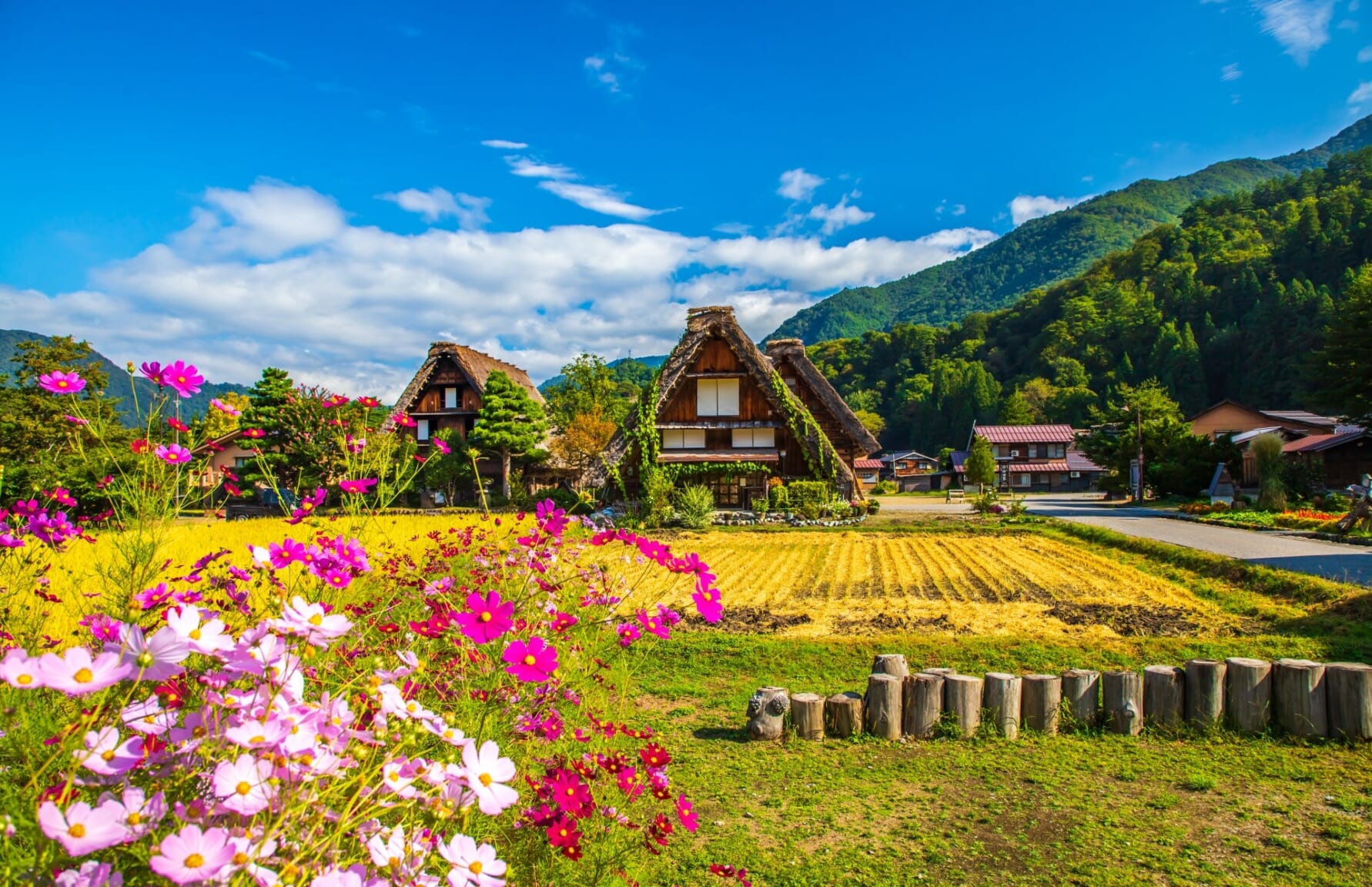 Shirakawago