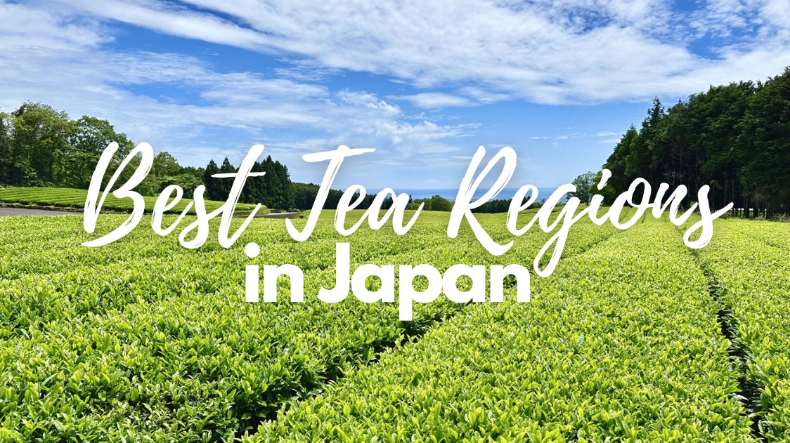 10 Best Tea Regions in Japan