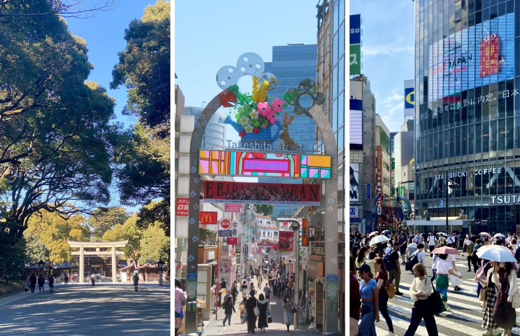 Meiji Jingu, Harajuku, and Shibuya