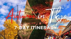 7 Days Itinerary in Tokyo in Autumn