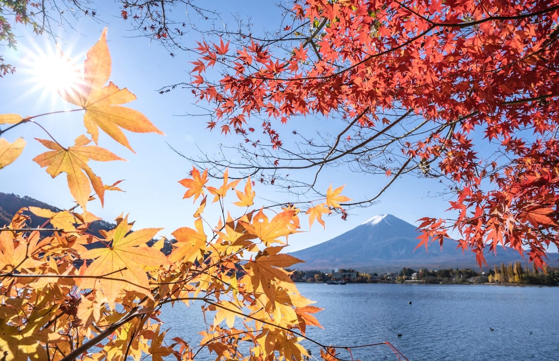 Mt. Fuji from Kawaguchiko lake in autumnm