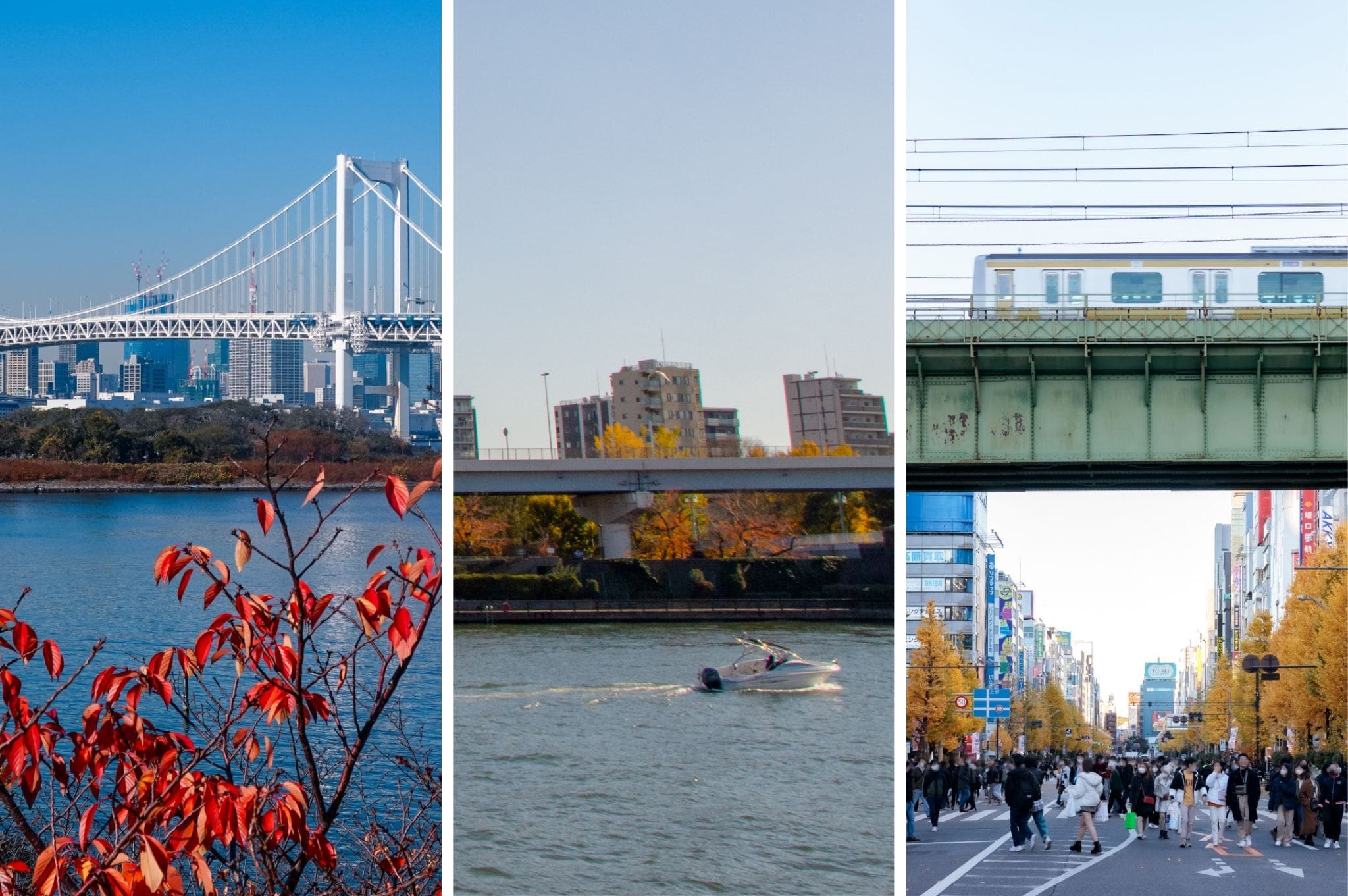 Odaiba, Sumida River, and Akihabara