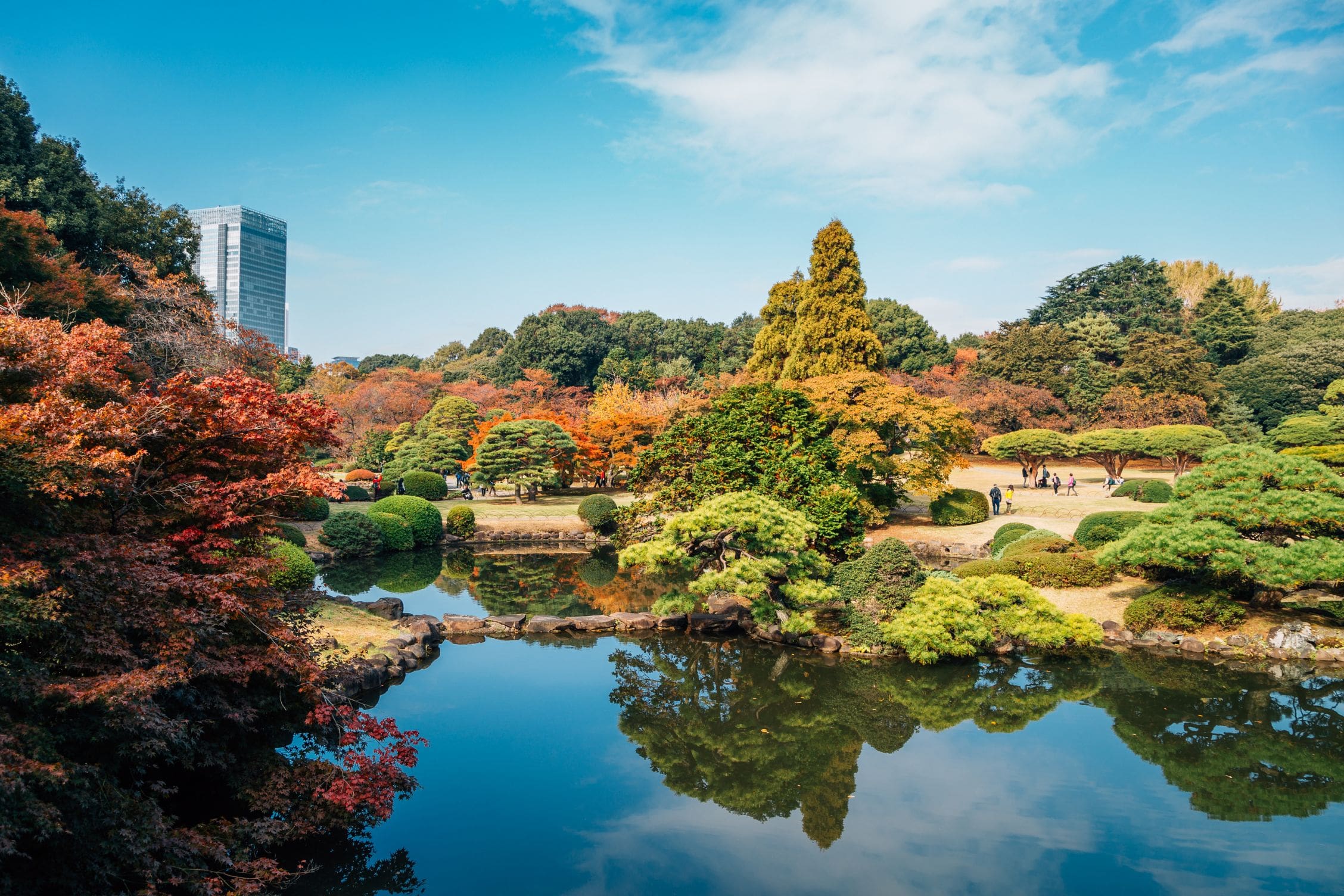 Shinjuku Gyoen Garden in Autumn