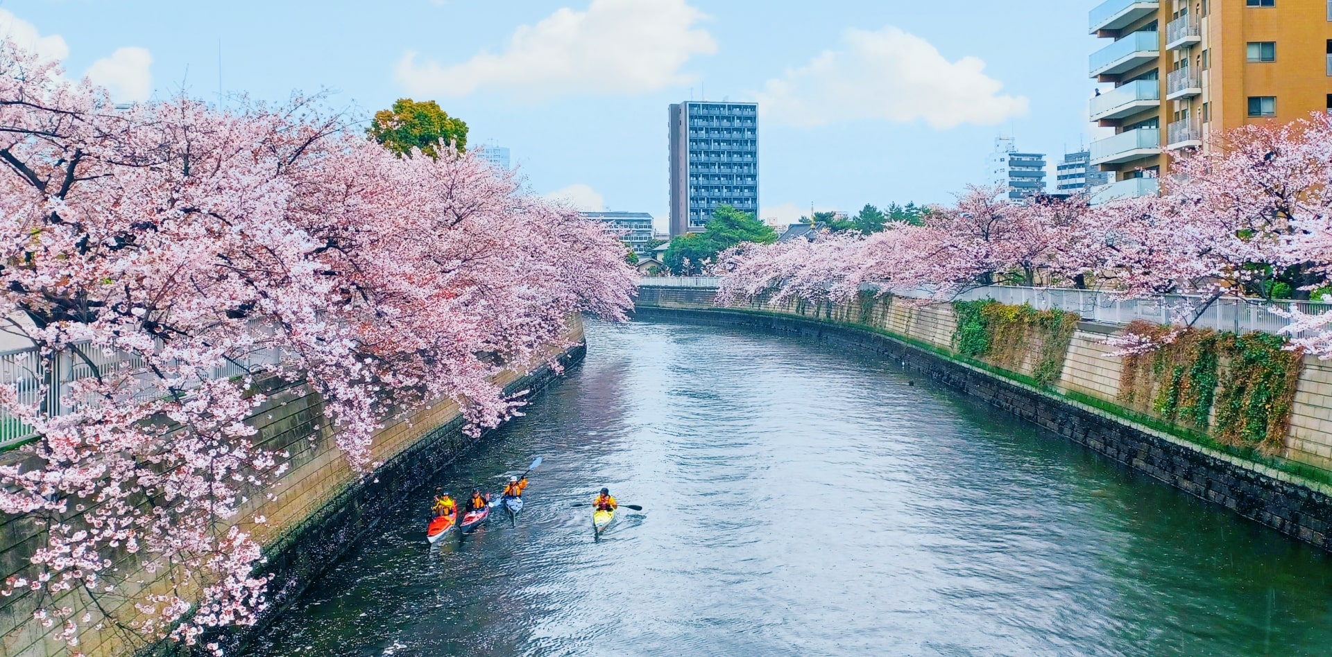 canoe in Tokyo