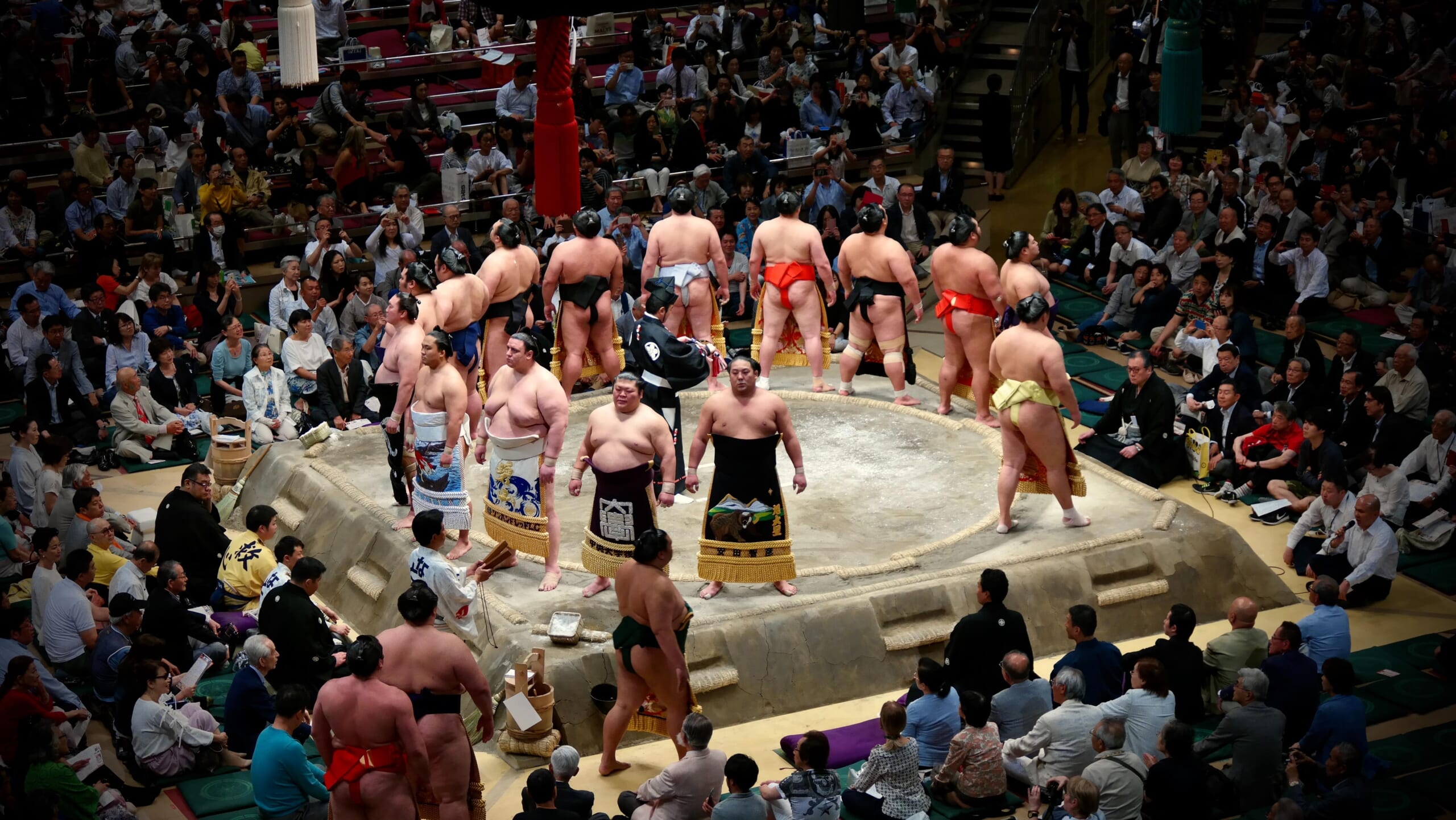 sumo