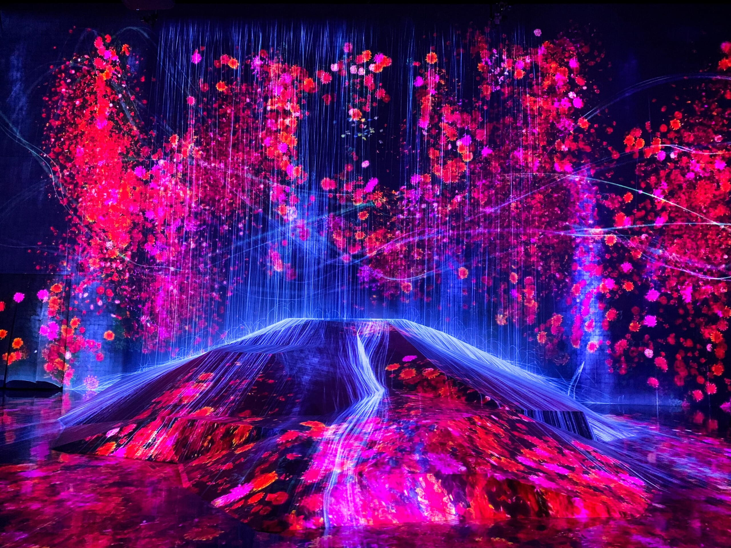 teamLab Tokyo