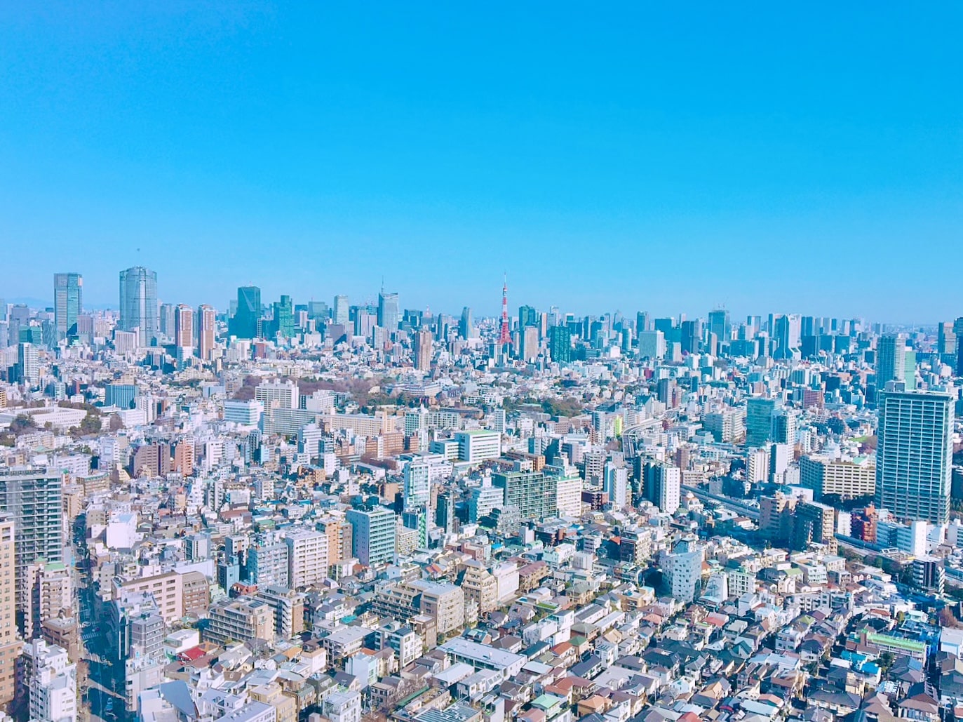 Tokyo panoramic view