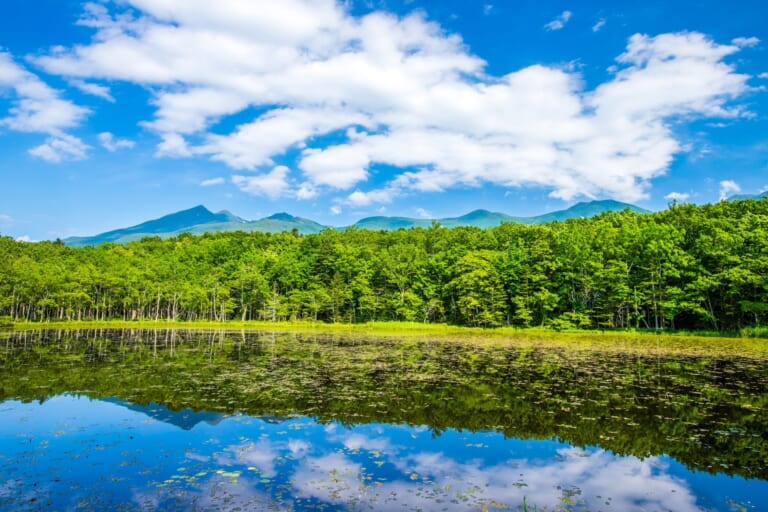 Shiretoko National Park: the Great Northeastern Park in Hokkaido