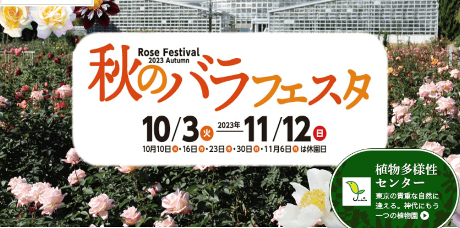 Autumn Rose Festival 2023-