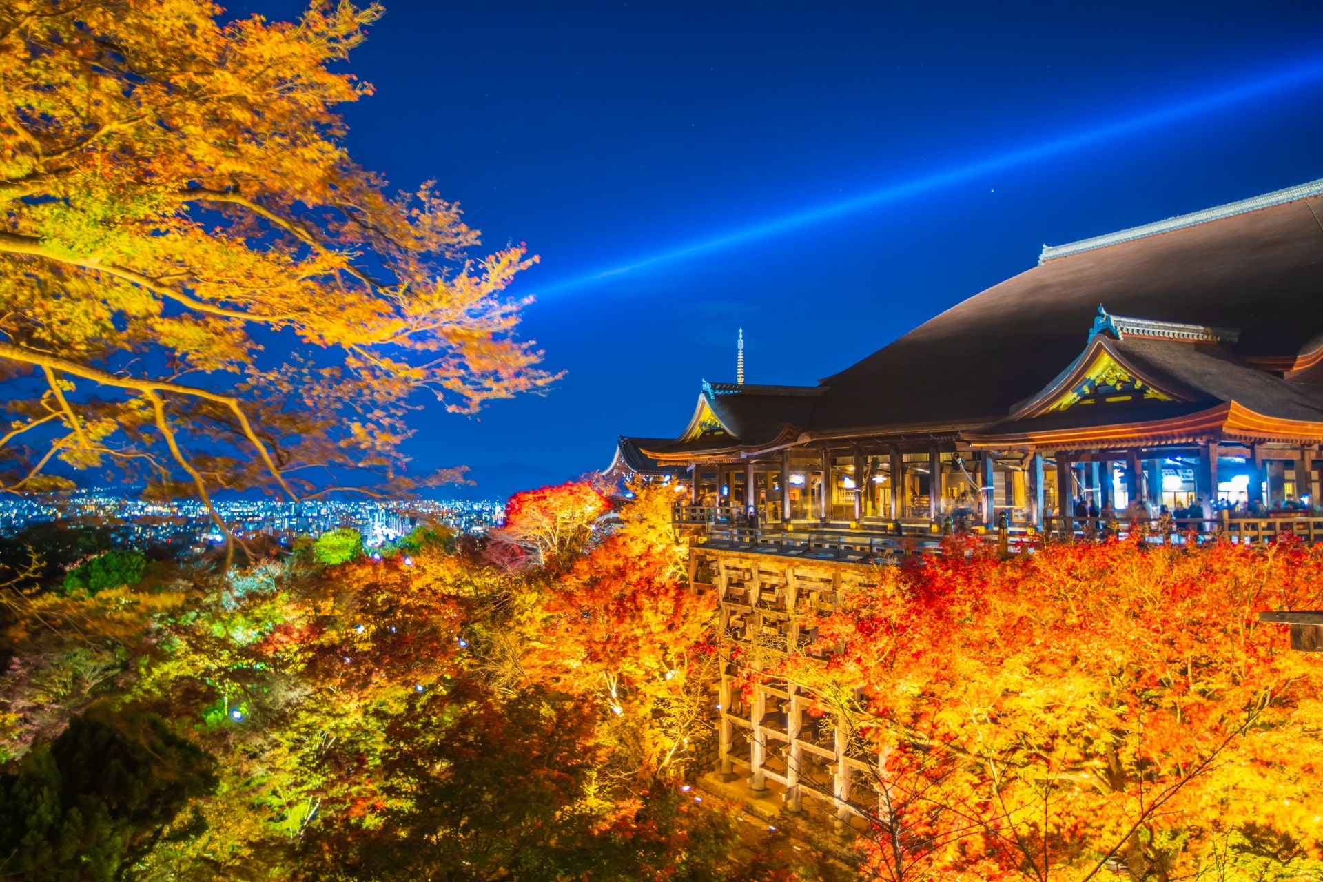 Autumn leaves at Kiyomizu-dera Temple Special night viewing