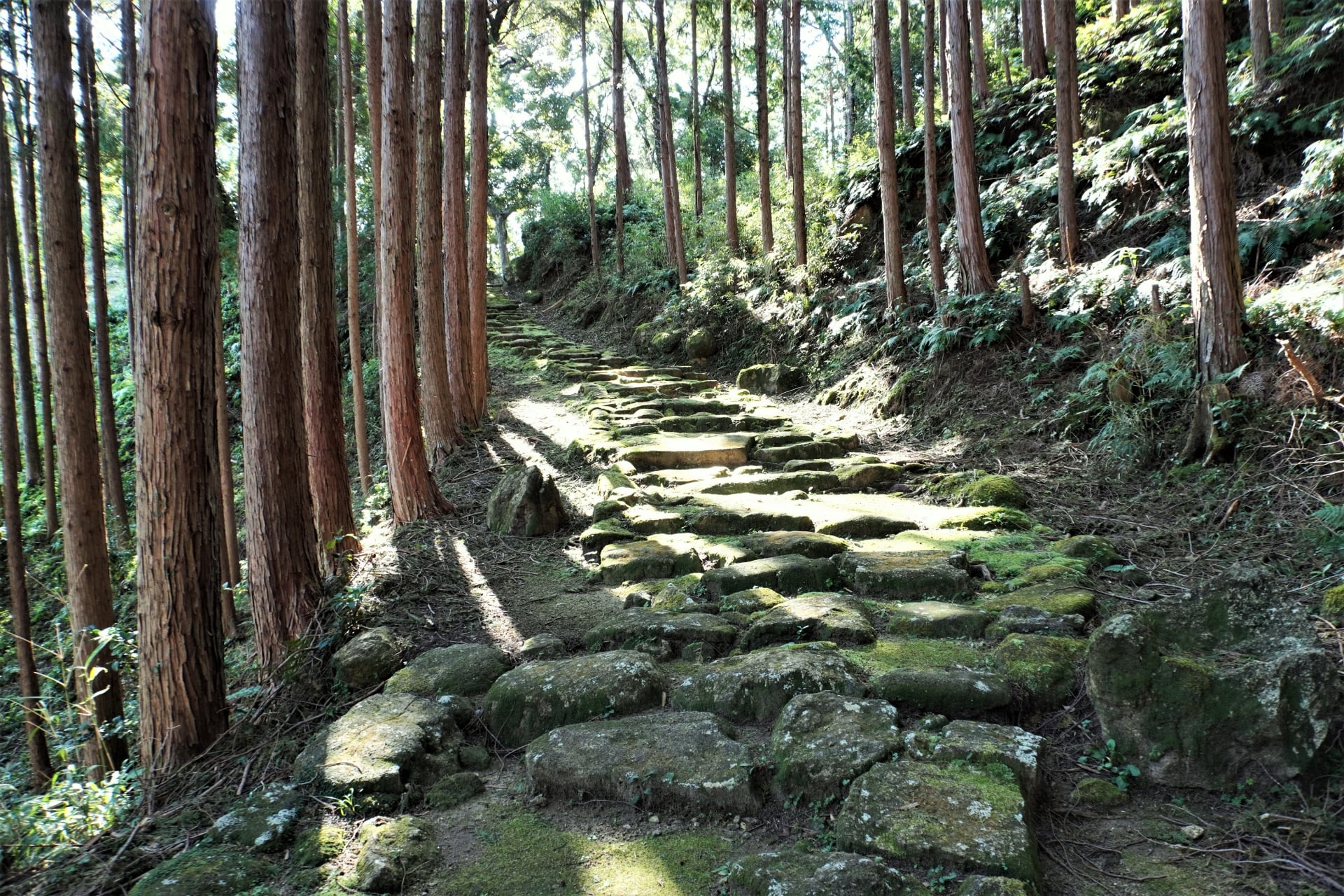Kumono Kodo hiking