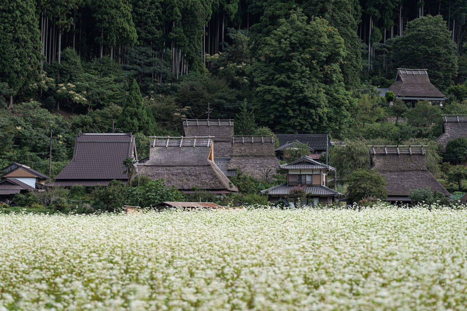 Miyama