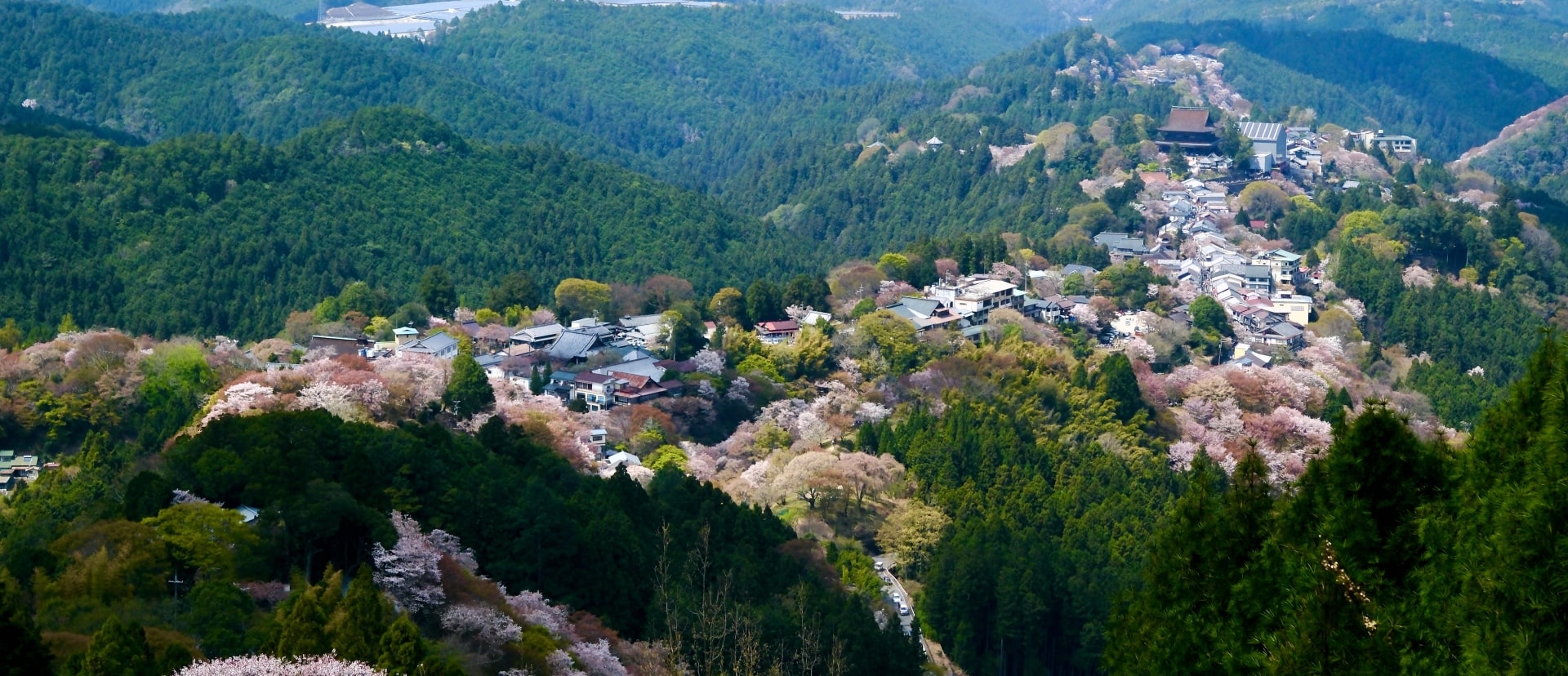 Mount Yoshino hiking