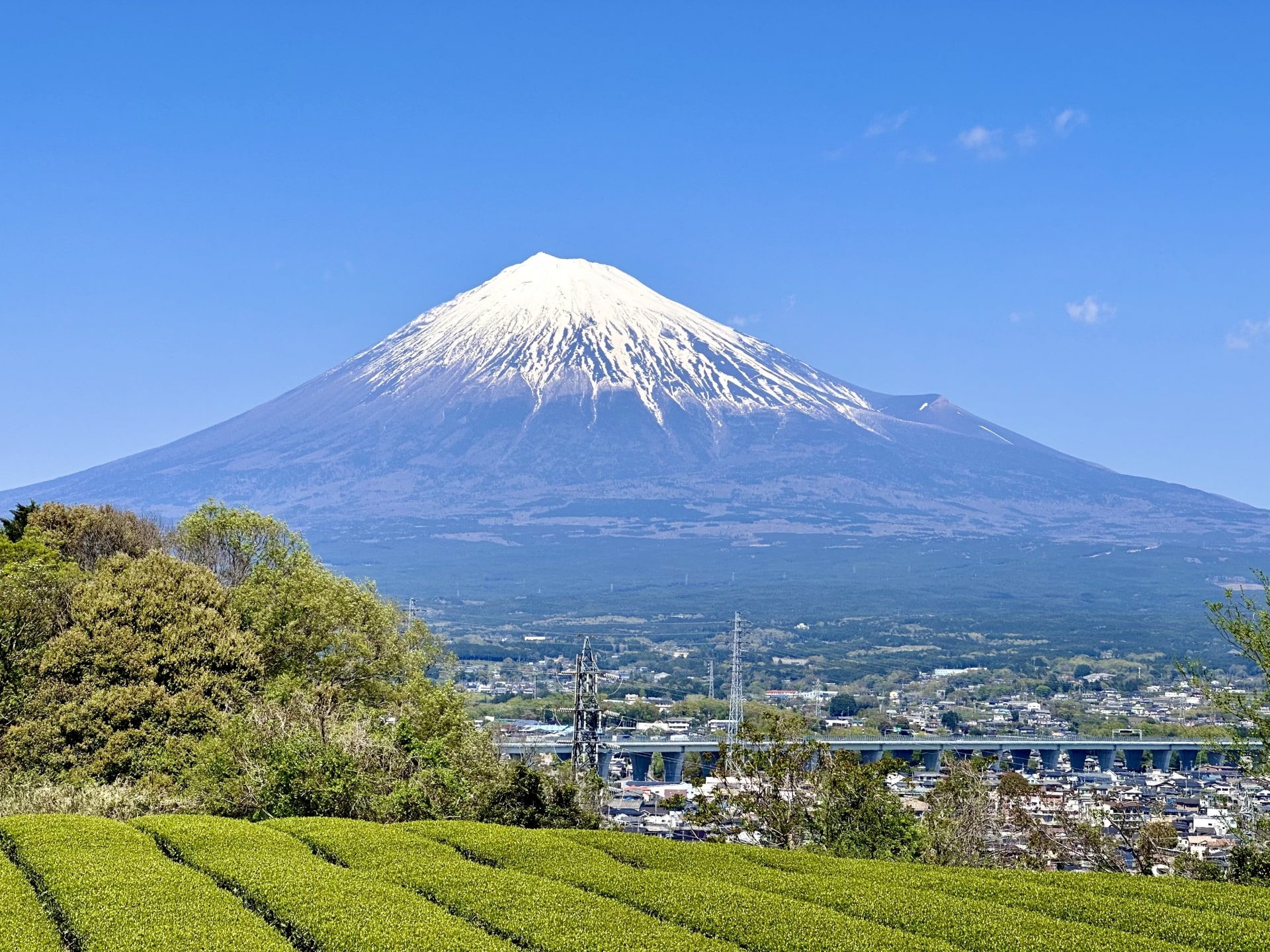 Mt. Fuji hiking