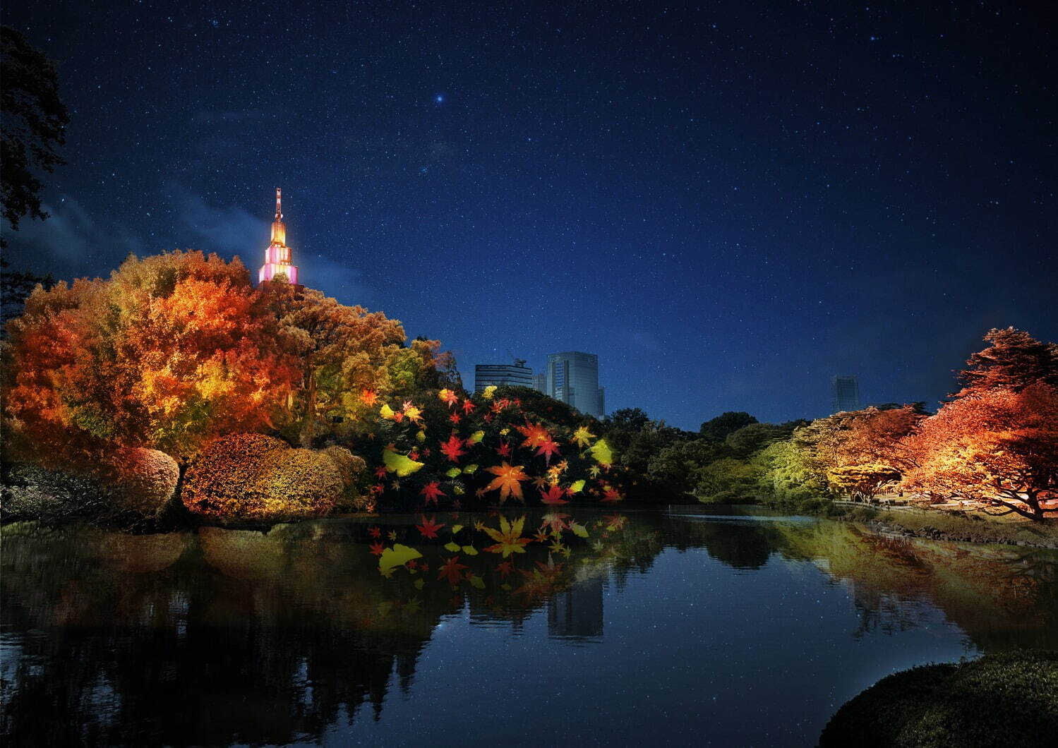 NAKED Autumn Leaves in Shinjuku Gyoen